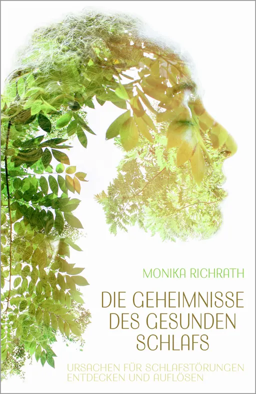 Die Geheimnisse des gesunden Schlafs, ISBN 9783981938388, Buchempfehlung