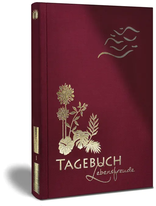 Sich in Minuten besser fühlen, ISBN 9783982303260, Buchcover