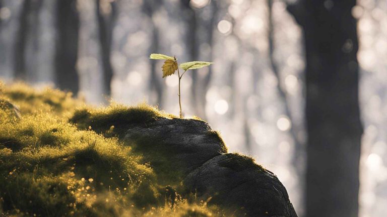 5 einfache Übungen, um deine Resilienz zu stärken, Beitragsbild01